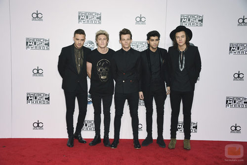 One Direction en los American Music Awards 2014