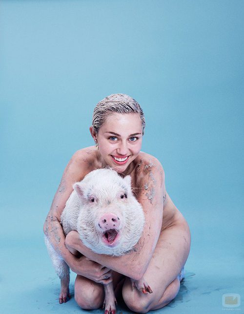 Miley Cyrus se desnuda con su cerda en la revista Paper