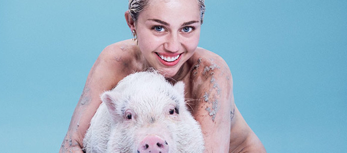 Miley Cyrus se desnuda con su cerda en la revista Paper