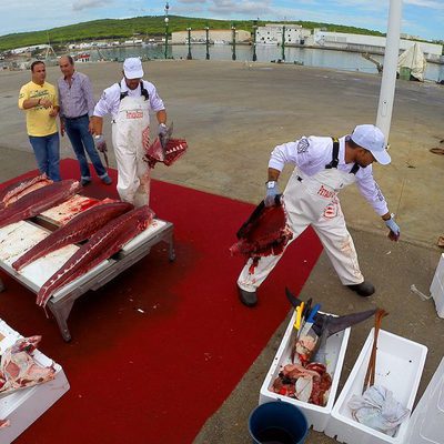 Ángel León viaja a Cádiz en el segundo capítulo de 'El Chef del Mar'