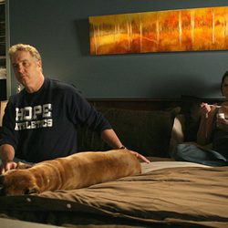 William Petersen y Jorja Fox junto a su perro