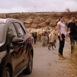 Héctor y Lola con el rebaño de ovejas en 'Mar de plástico'