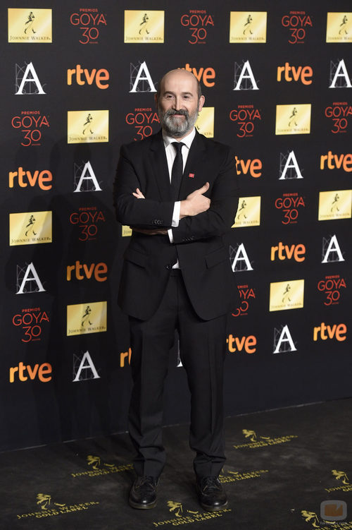 Javier Cámara en la alfombra roja de la cena de los nominados a los Goya 2016
