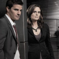 David Boreanaz y Emily Deschannel de 'Bones'