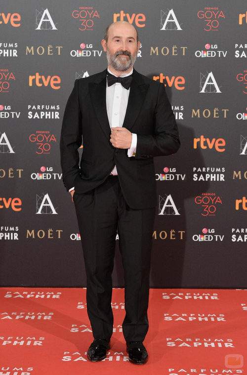 Javier Cámara en la alfombra roja de los Goya 2016