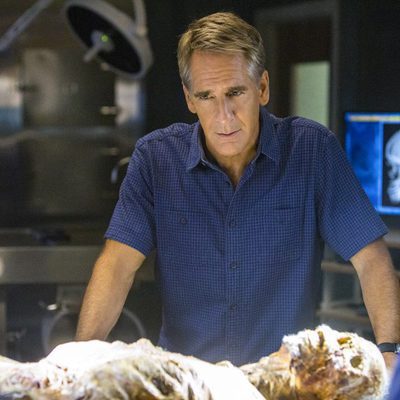 Dwayne Pride (Scott Bakula) en las oficinas centrales de 'NCIS: Nueva Orleans'