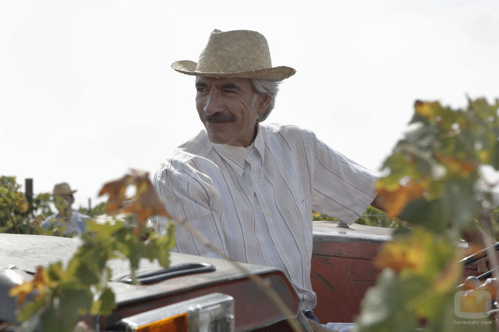 Antonio Alcántara en un tractor de la vendimia
