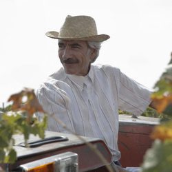 Antonio Alcántara en un tractor de la vendimia