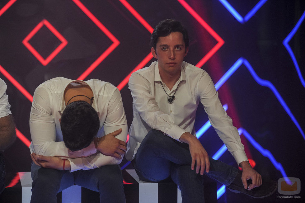 Alejandro Nieto y Francisco Nicolás en la gala 12 de 'Gran Hermano VIP'