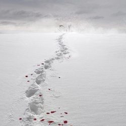 Póster de la 6ª temporada de 'Juego de Tronos'