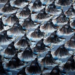 Inauguración de los Juegos Olímpicos de Pekín celebrados en 2008