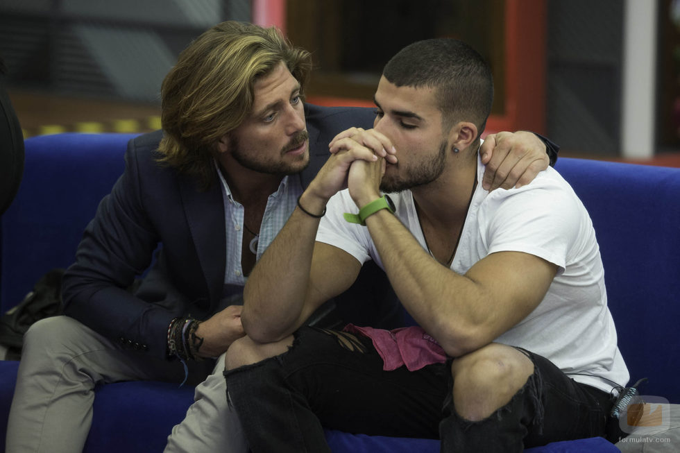 Fer aconseja a Pol