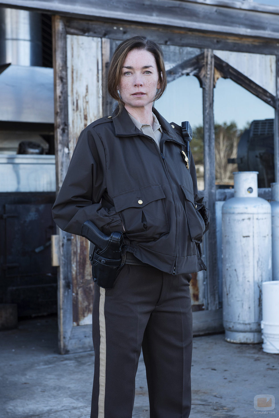 Julianne Ncholson es la agente Helen Torrance en 'Eyewitness'