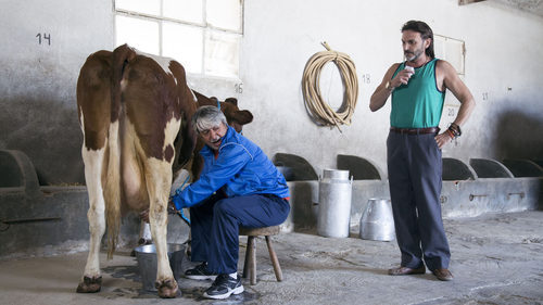 Vicente ordeña una vaca en 'La que se avecina'