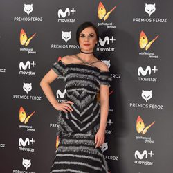 Miren Ibarguren en el photocall de la alfombra roja de los Premios Feroz 2017