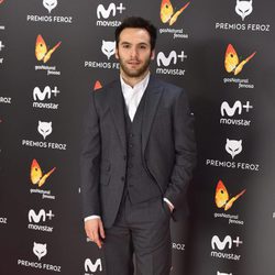 Ricardo Gómez en la alfombra roja de la gala Premios Feroz 2017