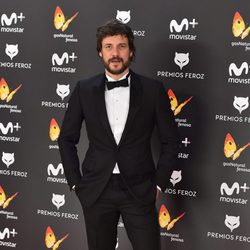 Daniel Grao luce esmoquin en la alfombra roja de los Premios Feroz 2017