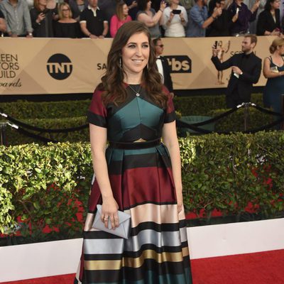 Mayim Bialik ('The Big Bang Theory') en la alfombra roja de los SAG Awards 2017
