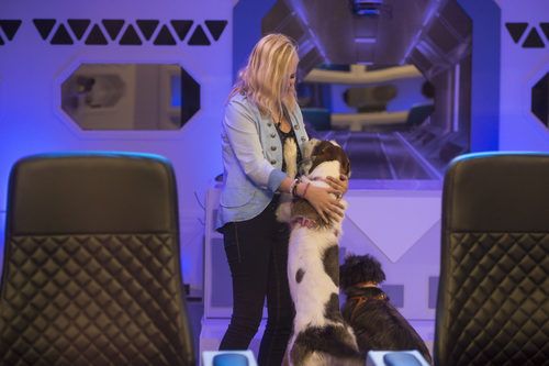 Emma Ozores recibe la visita de sus perros en la gala 11 de 'GH VIP 5'
