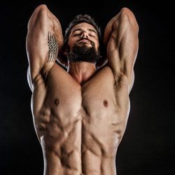 Brant Daugherty desnudo, enseña sus músculos sin camiseta