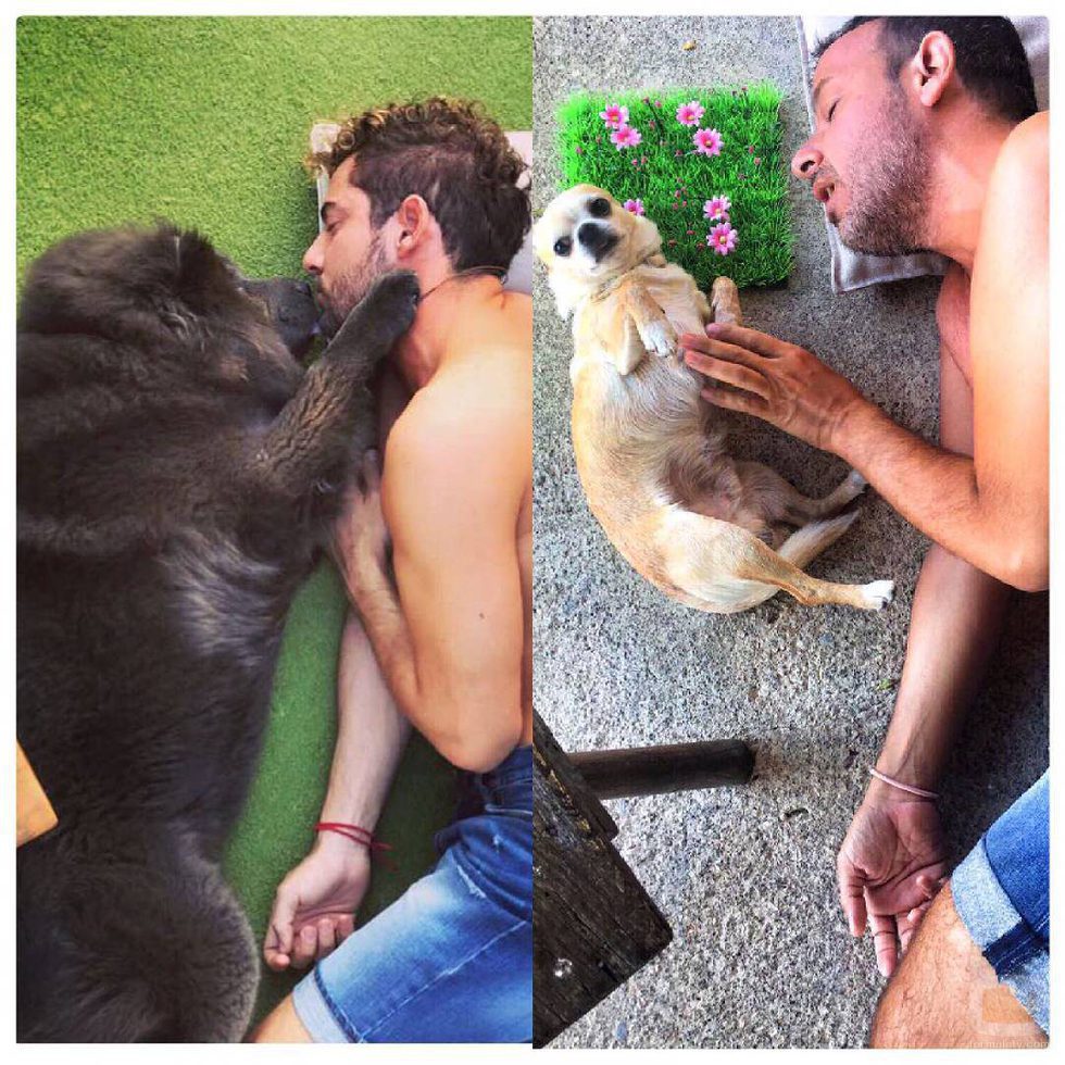 Àngel Llàcer parodia una foto de David Bisbal