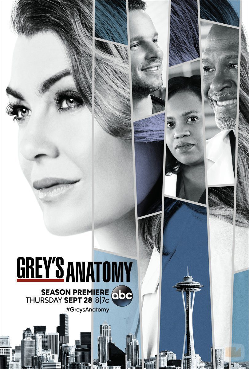 Cartel promocional de la 14ª temporada de 'Anatomía de Grey'