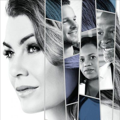 Cartel promocional de la 14ª temporada de 'Anatomía de Grey'