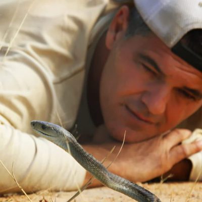Frank Cuesta muy cerca de la mamba negra