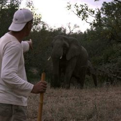 Frank Cuesta al lado de un elefante en 'Wild Frank'