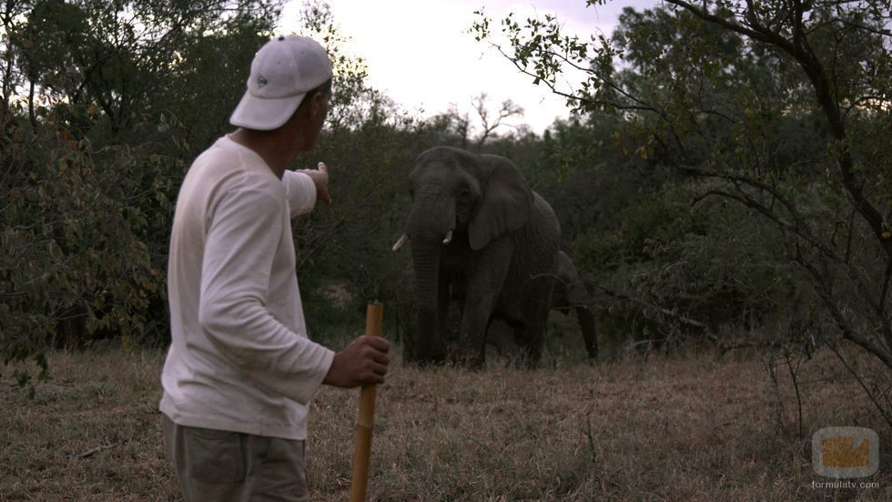 Frank Cuesta al lado de un elefante en 'Wild Frank'