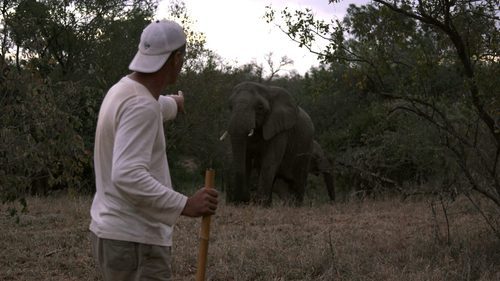 Frank Cuesta al lado de un elefante en 'Wild Frank'