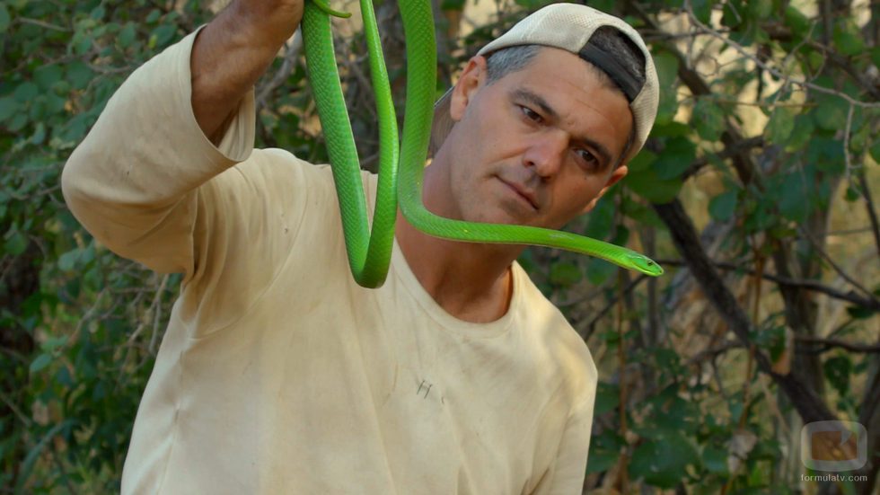 Frank Cuesta sostiene una serpiente en 'Wild Frank'