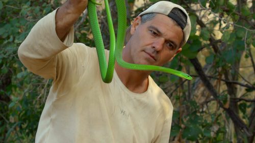 Frank Cuesta sostiene una serpiente en 'Wild Frank'