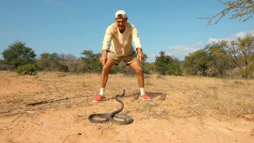 Frank Cuesta, frente a frente con la mamba negra en 'Wild Frank' 