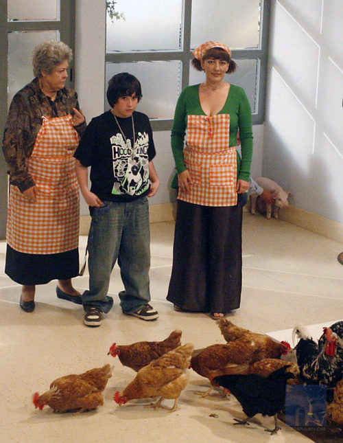 Gallinas en 'La que se avecina'