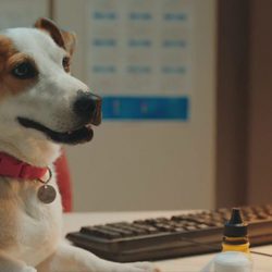 Max, el perro detective, en el primer capítulo de 'Sabuesos'