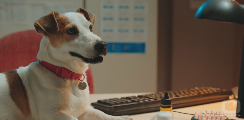 Max, el perro detective, en el primer capítulo de 'Sabuesos'