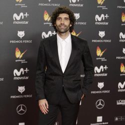 Tamar Novas posa en la alfombra roja de los Premios Feroz 2018