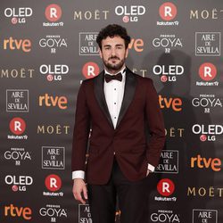 Miki Esparbé posa en la alfombra roja de los Premios Goya 2018