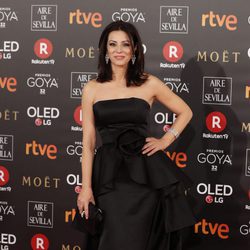 Ana Álvarez posa en la alfombra roja de los Premios Goya 2018