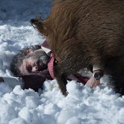 Leonardo Sbaraglia tumbado en la nieve y tapado por un animal en 'Félix'