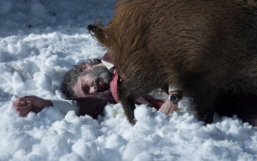 Leonardo Sbaraglia tumbado en la nieve y tapado por un animal en 'Félix'
