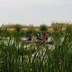 'El embarcadero' comienza su rodaje en la Albufera de Valencia