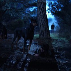 Ana de Armas junto a un dóberman en 'El internado'