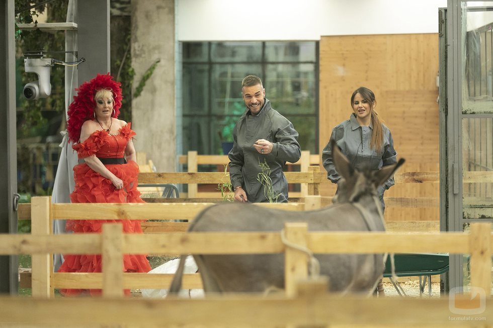 Aramís Fuster, Tony Spina y Mónica Hoyos dentro de la casa de 'GH VIP 6'