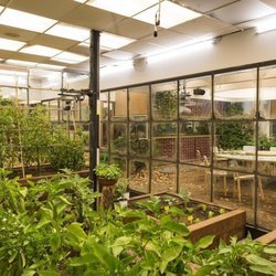 El invernadero de la casa de 'GH VIP 6'