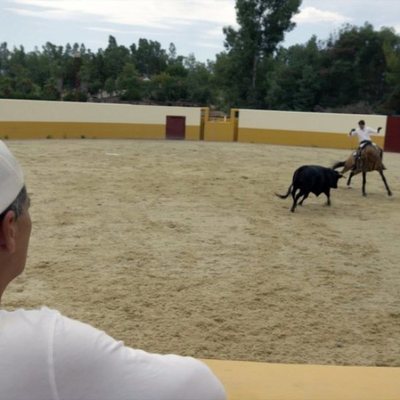 Un picador actúa delante de Frank Cuesta