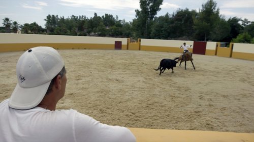 Un picador actúa delante de Frank Cuesta