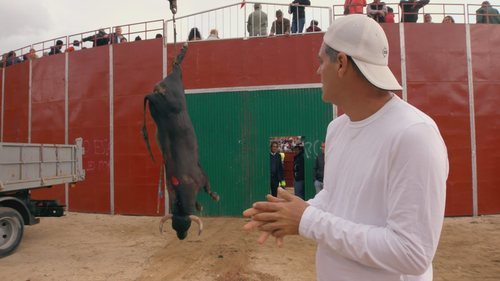 Un toro es recogido muerto delante de Frank Cuesta