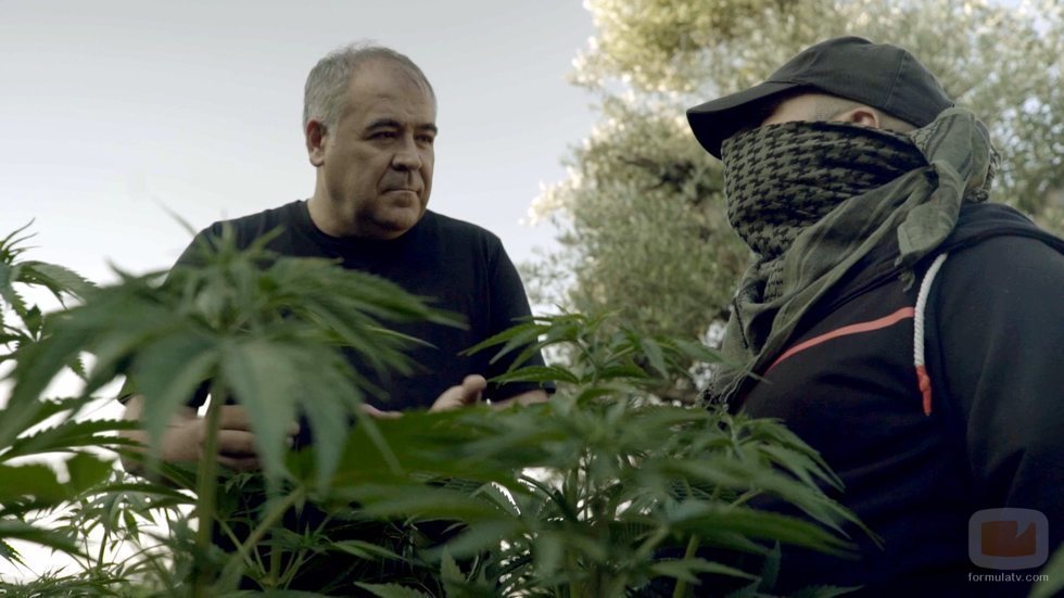 Antonio García Ferreras entre plantas de marihuana en 'Estrecho'
